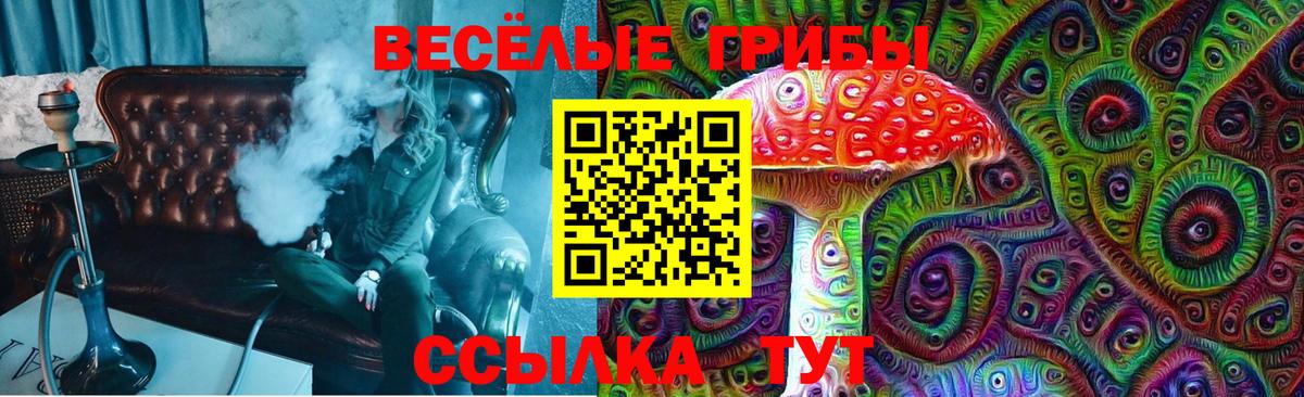 Псилоцибиновые грибы GOLDEN TEACHER Клин